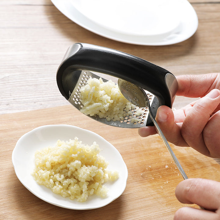 Stainless Steel Garlic Press